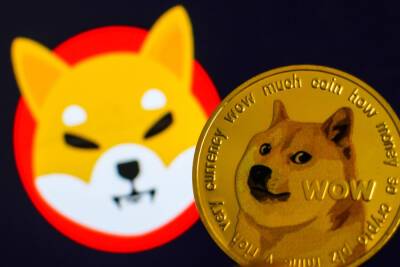 Remember dogecoin? A rival 'meme token' just hit a record high and is close to overtaking it