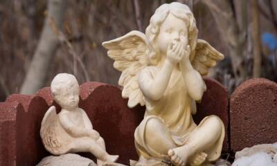 On angels, demons, and godfathers: Has the VC support model gone too far?