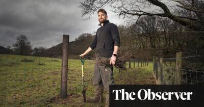 Farmers’ tree dilemma: if we plant woodland, will we take a cash hit?