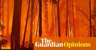 Carbon offsetting is not warding off environmental collapse – it’s accelerating it