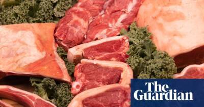 UK food and drink firms warn of shortages as ‘bailout’ of CO2 industry ends