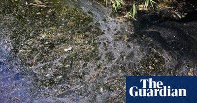 Environment Agency knew sewage was being dumped into rivers years ago, leak reveals