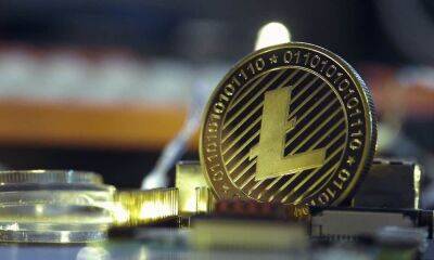 Litecoin: Bears may be out for a meal, but LTC could have these tricks up its sleeve