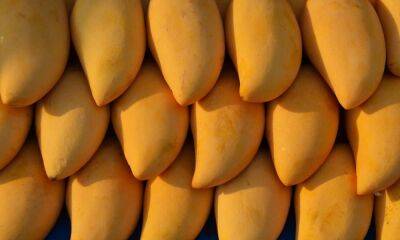 Mango Markets hack: Assessing the driving factor behind the “bold” settlement