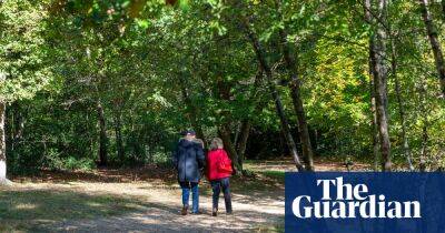 UK’s ancient woodlands at risk from investment zones, say charities