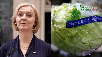 Lettuce rejoice as salad wins challenge and outlasts UK PM Liz Truss
