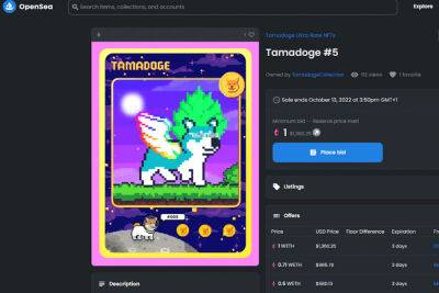 Tamadoge Price Blasts Up 235% as Ultra-Rare Auction Launches – Best New NFT Drop?