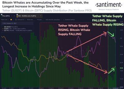 Bitcoin Whales Accumulating BTC At Current Prices – What Do They Know?