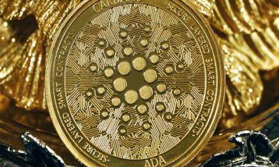 Cardano: Wallets created in Sept. were 3.60M; can it assure a price hike