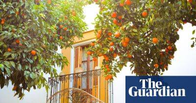 Seville’s marmalade oranges under threat from deadly yellow dragon disease