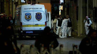 Istanbul blast: Suspect arrested as government blames Kurdish separatists for 'terror attack'