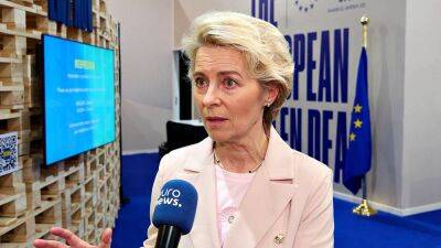COP27: It's important to discuss climate reparations, Ursula von der Leyen tells Euronews