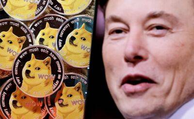 Meme cryptocurrency, Shiba Inu, meme coin: Elon Musk's Twitter Buyout Gives Wings To Dogecoin's Price