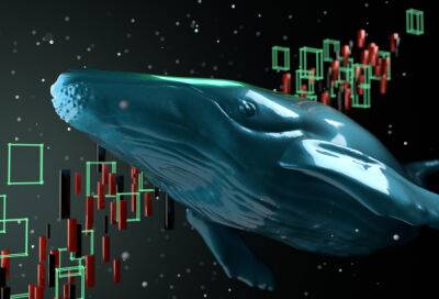 Crypto Whales Just Added These Coins to Their Portfolios – Find Out Why