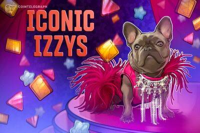 Social media influencers flock to Web3, Izzy the French Bulldog with new NFT collection