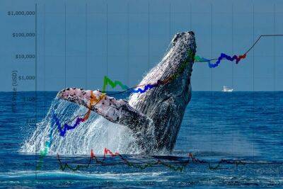 Crypto Whales Say These Altcoins are Poised for Explosive Growth – Here’s Why