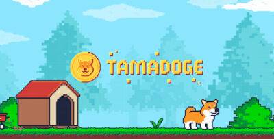Tamadoge Voted Strongest NFT Community Online – TAMA to the Moon?