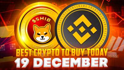 Best Crypto to Buy Today 19 December – FGHT, BNB, D2T, SHIB, TARO