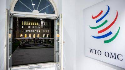 EU to challenge China at the WTO over Lithuania export ban and patent protection