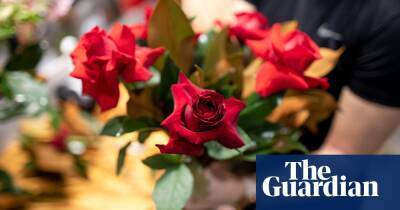 All out of love: Valentine’s Day flower prices surge as supply chain crisis hits