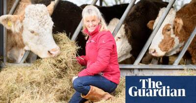 ‘Completely contradictory’: NFU leader attacks UK farming policy