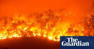 Wildfires likely to increase by a third by 2050, warns UN