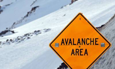 Why an Avalanche of a ‘comeback’ comes with its caveats