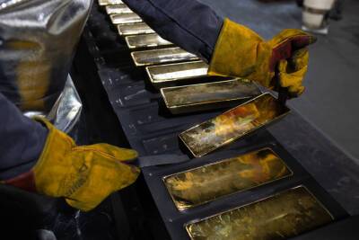Gold has remained steady as stocks and bitcoin have plunged. Here's where it could go next