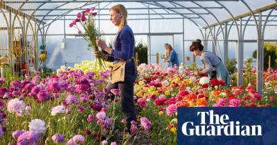How UK shoppers can buy beautifully ethical flowers
