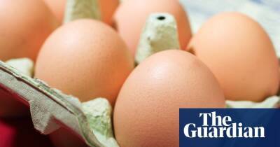 Egg farmers: UK supermarkets must raise price or we’ll go under