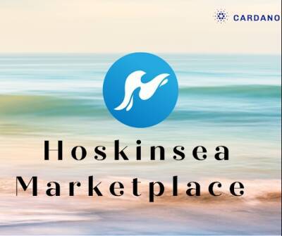 Hoskinsea Marketplace to Spearhead Cardano NFTs Sales, Continues HSK Token Private Sale