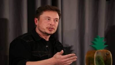 Elon Musk's 'single most annoying problem' on Twitter is...
