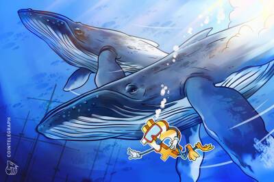 Bitcoin whales fill their bags despite warnings BTC price could fall below $40K