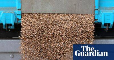 Millions of tonnes of grain stuck in Ukraine, says German UN official