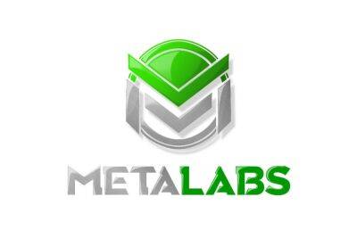 How MetaLabs is Taking the Metaverse by Storm