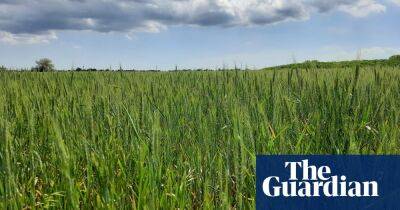 ‘We need to lift the blockade’: Ukraine farmers unable to export grain