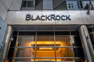 BlackRock bolsters Emea sustainable leadership team