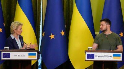 Von der Leyen promises response 'by end of next week' on Ukraine's EU ambitions