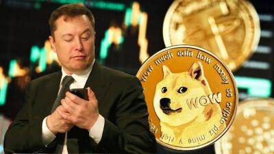Elon Musk, Tesla and SpaceX sued for $258 billion over alleged Dogecoin pyramid scheme