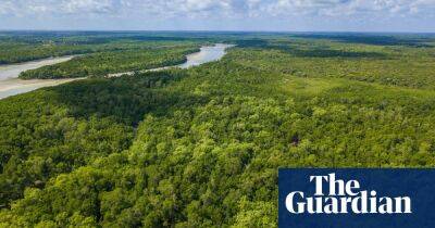 Banks and UK supermarkets accused of backing deforestation in Brazil