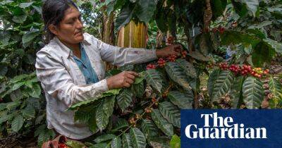 Fairtrade urges UK shoppers not to abandon it in ‘race to the bottom’