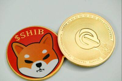 Most Attractive Cryptocurrencies for Long-Term Gains: Binance Coin (BNB), Shiba Inu (SHIB) and RoboApe Token (RBA)