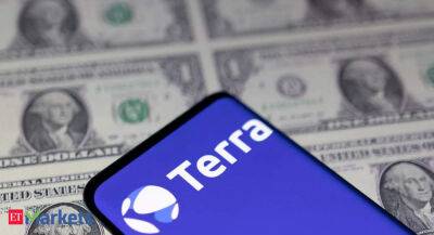 Terra investors in India lost big. Now they face the taxman