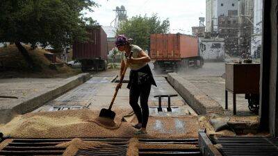 Food crisis: There is 'hope' for a Russia-Ukraine deal on grain export