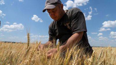 Ukraine and Russia to sign vital grain export deal on Friday