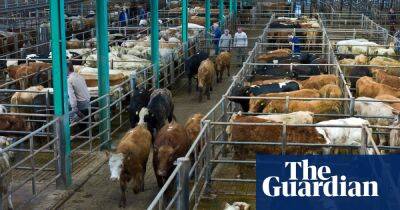 Ireland targets 25% cut in agriculture emissions but farmers voice anger