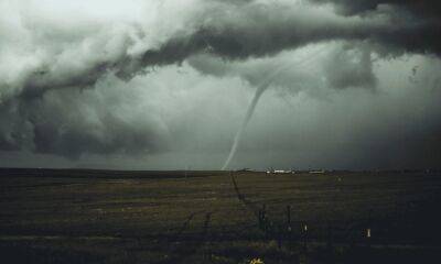 USDC, USDT, BUSD caught in the midst of tornado- Here’s how