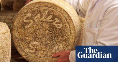 Production of French salers cheese halted due to drought
