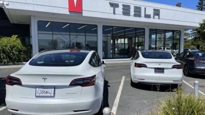 Tesla hedging: New ETF gears up to attract hesitant investors