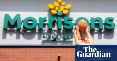 Hens will be fed insects to lay carbon-neutral eggs for Morrisons